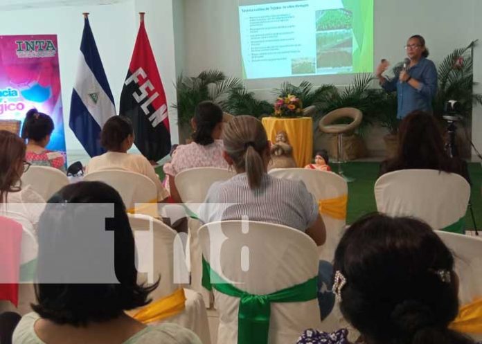 Foto: INTA reconoce labor de las mujeres en la producción agropecuaria de Nicaragua / TN8