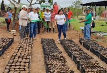 Precioso vivero de plantas forestales y frutales se inauguró en San Carlos, Río San Juan