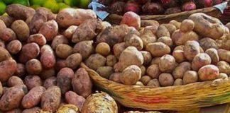 Foto: Productos como papa y cebolla bajan de precios en mercados de Managua