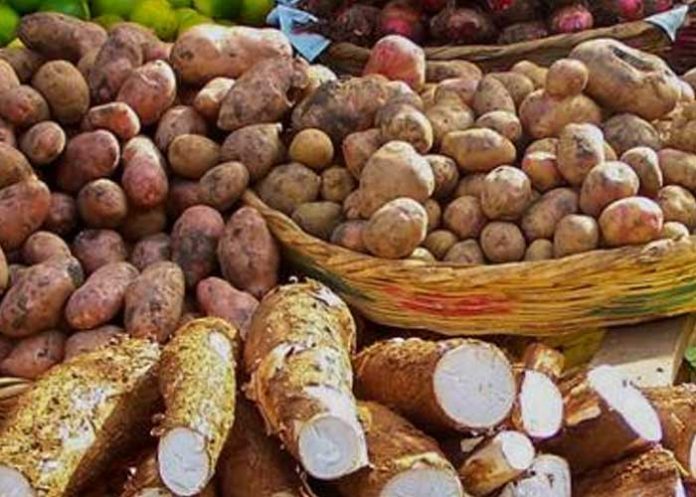 Foto: Productos como papa y cebolla bajan de precios en mercados de Managua