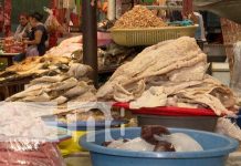 Foto: Pescado seco, comida tradicional de Semana Santa / TN8