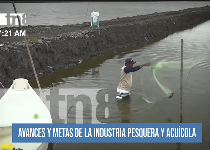 Avances y metas de la industria pesquera y acuícola en Nicaragua