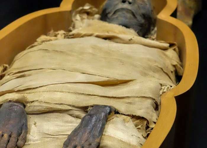 Desenterró, momificó y vivió 13 años con el cadáver de su mamá en Polonia