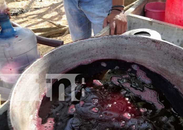 Culmina en Nandaime curso de elaboración de vinos de frutas tropicales