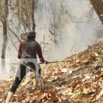 Foto:Voraz incendio consumió entre 30 y 40 hectáreas en Miraflor, Estelí / TN8