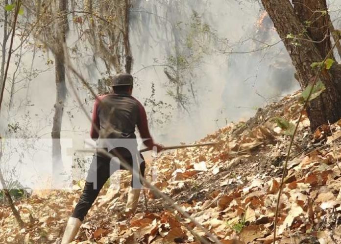 Foto:Voraz incendio consumió entre 30 y 40 hectáreas en Miraflor, Estelí / TN8