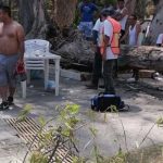 Foto: Bebé de 11 meses muere al derrumbarse un árbol en balneario de Comanjilla, México / Cortesía