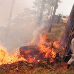 Foto: 33.000 hectáreas afectadas por incendios forestales en Honduras / Cortesía