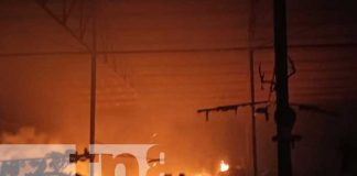 Foto: Voraz incendio reduce a cenizas parte de un taller y dos vehículos en Managua / TN8