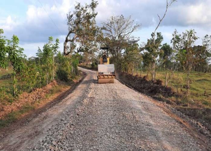 Avanzan obras de camino en Nueva Guinea