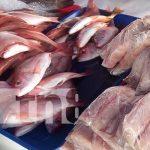 ¡Para los amantes del marisco! Feria del mar ofrece diversidad de platillos