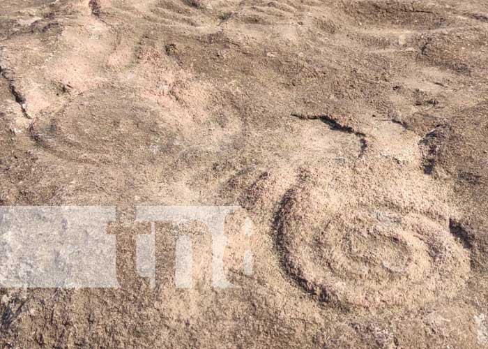 Foto: ¡Impresionante! Encuentran petroglifos en el Caribe Norte de Nicaragua / TN8