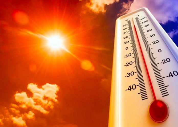 ¿Qué países sufrirán devastadoras olas de calor según estudio?