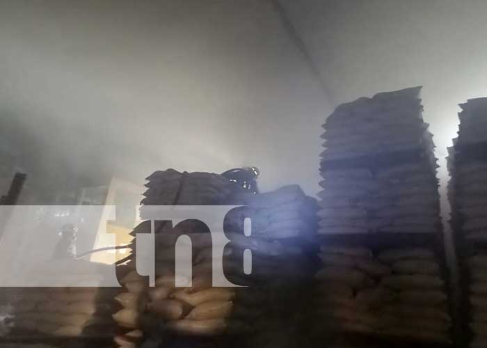 Foto: Fuerte incendio de una bodega productora de harina en Granada / TN8