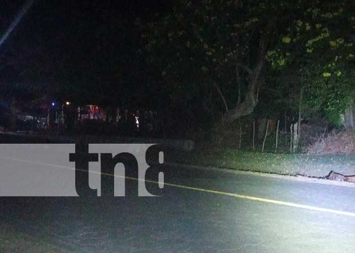 Foto: Equino provoca doble accidente en la Isla de Ometepe / TN8