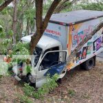 Foto: Camión repartidor de productos escolares se estrella contra un árbol en Totogalpa, Madriz / TN8