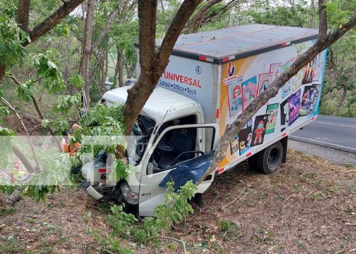 Foto: Camión repartidor de productos escolares se estrella contra un árbol en Totogalpa, Madriz / TN8