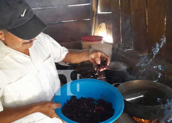 Culmina en Nandaime curso de elaboración de vinos de frutas tropicales