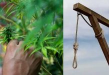 Hombre morirá en la horca por traficar marihuana en Singapur