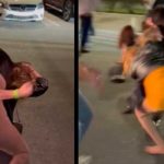 Mujeres protagonizan pelea en un antro de Texas