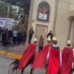 VIDEO: ¡Guau! El perrito de Coahuila, que se ha ganado la admiración y se viralizó