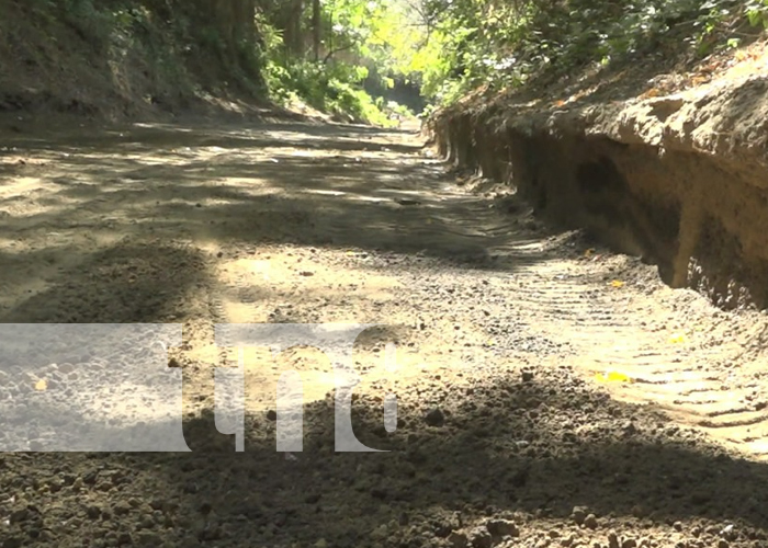 Reparan caminos productivos en Moyogalpa, Isla de Ometepe