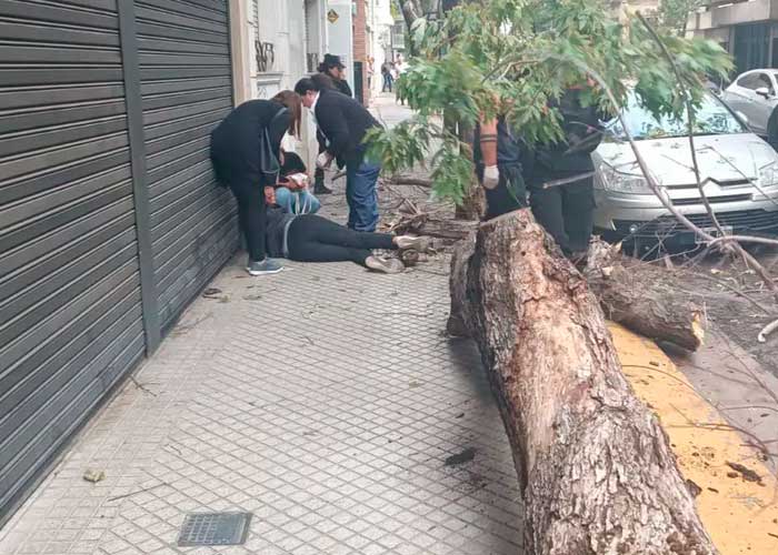 ¡No estaba en la raya! Viva de milagro tras caerle un pesado árbol en Argentina