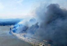 Incendio forestal devora al menos 70 viviendas en Corea del Sur