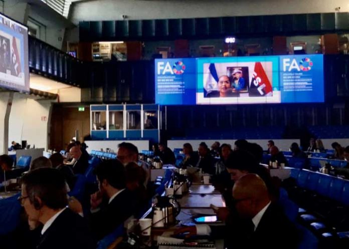 Nicaragua participa en período de sesiones del Consejo de la FAO en la ciudad de Roma