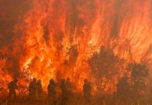 Ola de incendios en el norte de España "bajo control"
