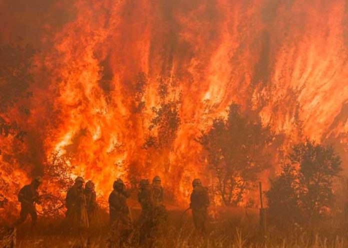 Ola de incendios en el norte de España 