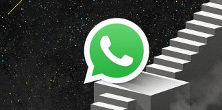 Fotos: WhatsApp se viene con todo con 6 novedades para los usuarios / Cortesía
