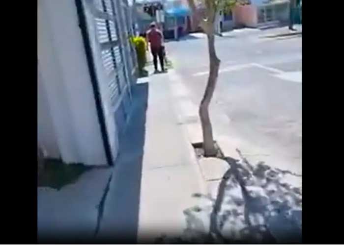 Captan a hombre asfixiando hasta la muerte a un perro en plena vía pública