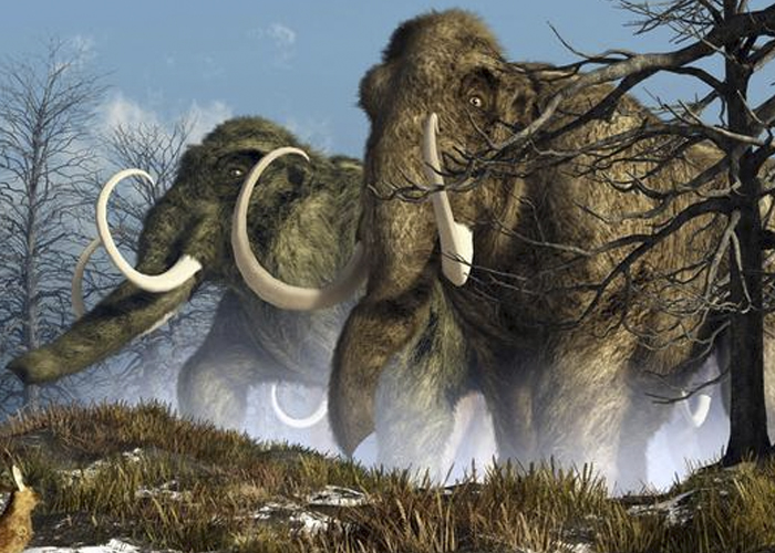 Cada vez más cerca de resucitar al mamut, y con propiedad intelectual