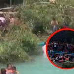 Bebé muere aplastado por la caída árbol en un balneario de Guanajuato