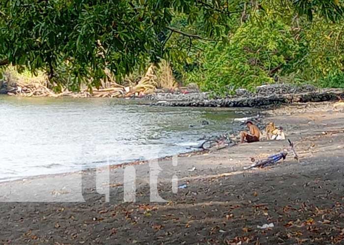 Foto: Ataque de "perro de agua" en la Isla de Ometepe / TN8