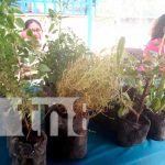 Feria agropecuaria por el día internacional de la madre Tierra en Ticuantepe