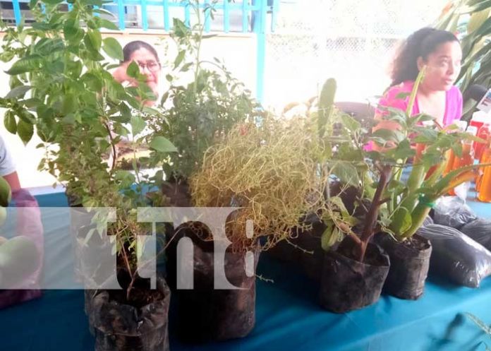 Feria agropecuaria por el día internacional de la madre Tierra en Ticuantepe