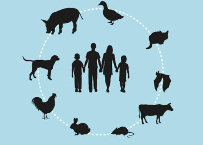 Foto: Ilustración de zoonosis, enfermedades que se transmiten al humano por los animales