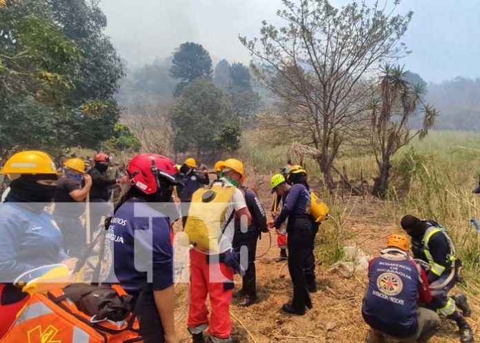Diversos incendios han dejado varias manzanas de cerros quemados en Jinotega