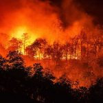 Bomberos Unidos extinguen 231 incendios forestales detectados en Nicaragua