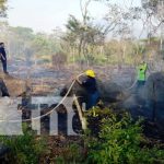 Foto: Bomberos controlan incendio forestal en la Isla de Ometepe / TN8