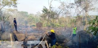 Foto: Bomberos controlan incendio forestal en la Isla de Ometepe / TN8