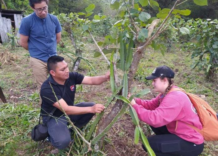 Lo que Aprendimos de Nicaragua sobre Agroecología. Por: Rick Kohn