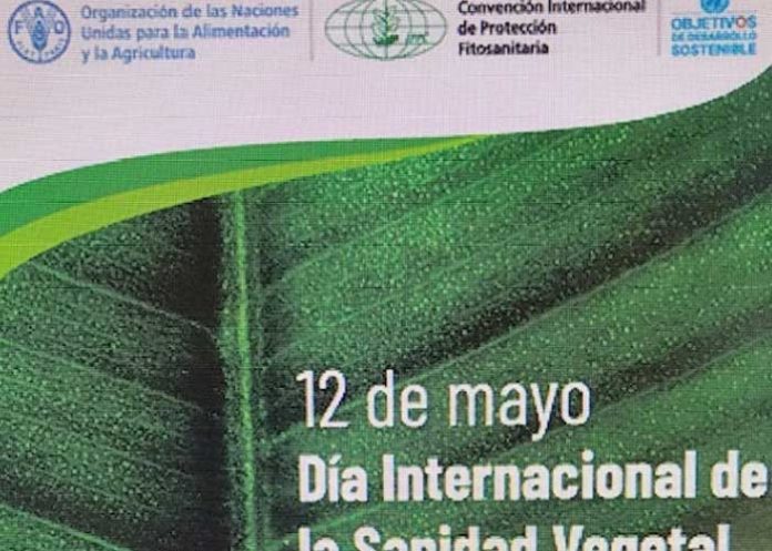 Nicaragua presente en la celebración del Día Internacional de la Sanidad Vegetal 2023