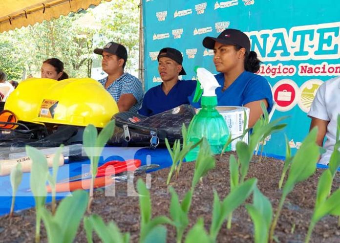 Centro Tecnológico en Palacaguina Madriz promueve el estudio agropecuario