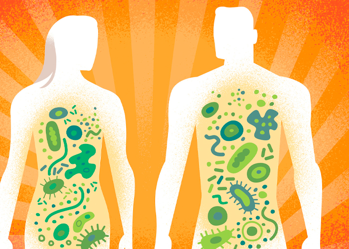 ¿Qué es la microbiota y cómo afecta al organismo humano?