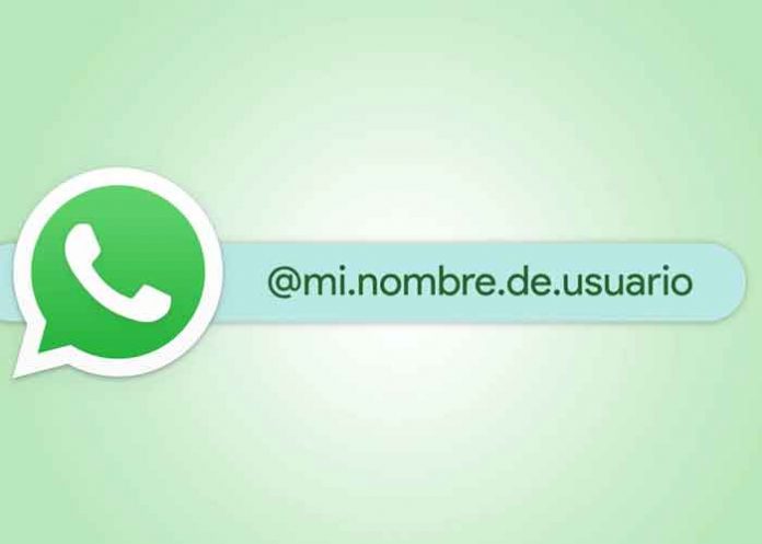 WhatsApp prepara una opción para ganarle a Telegram: hola, nombres de usuario