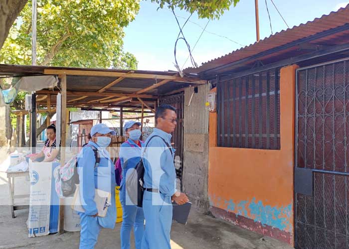 Continúa la lucha antiepidémica contra el mosquito transmisor en Managua