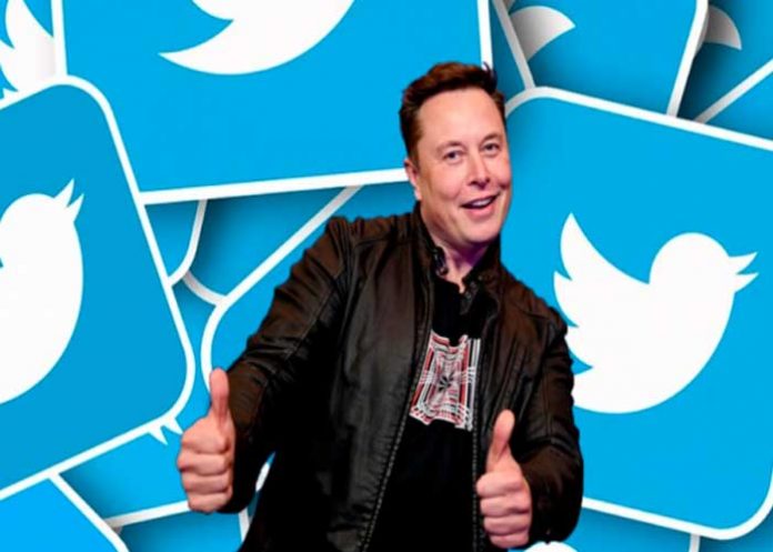 Elon Musk tiene remplazo, una mujer ahora dirigirá el CEO de Twitter
